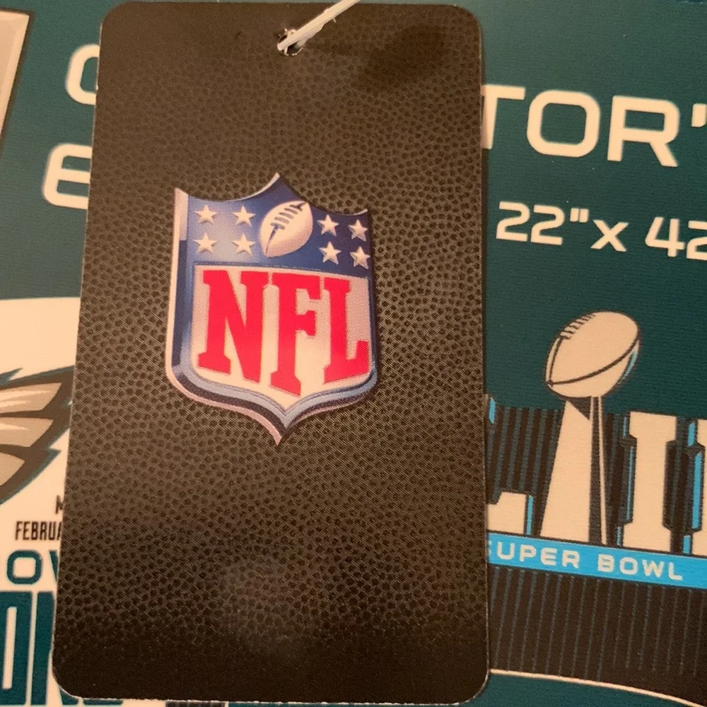 WinCraft Philadelphia Eagles Super Bowl LII Champions 2 Sided Graphic Towel
